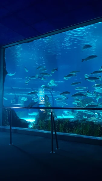 L'Aquarium de Barcelona