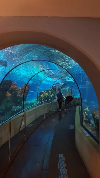 L'Aquarium de Barcelona