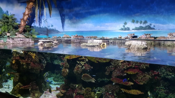 L'Aquarium de Barcelona