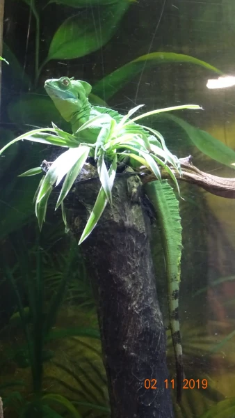 L'Aquarium de Barcelona
