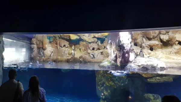L'Aquarium de Barcelona