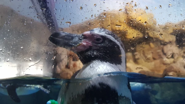 L'Aquarium de Barcelona