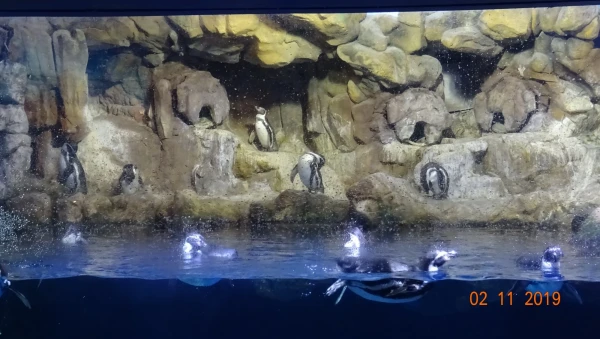 L'Aquarium de Barcelona