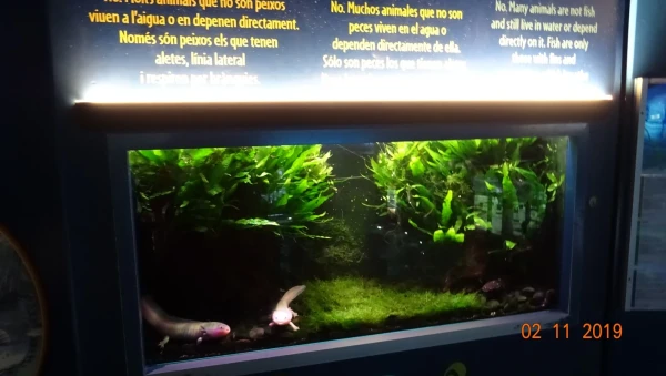L'Aquarium de Barcelona
