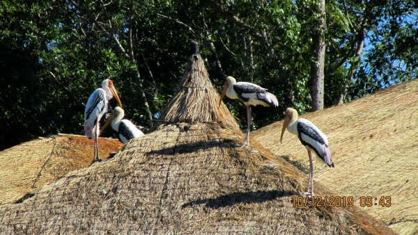 Сафари парк.