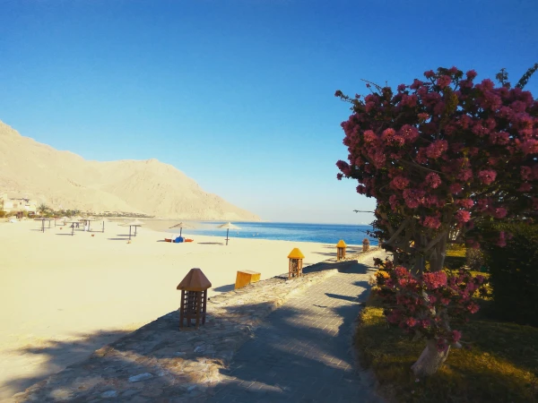 Movenpick Resort El Sohna