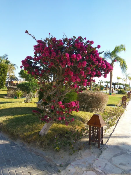 Movenpick Resort El Sohna