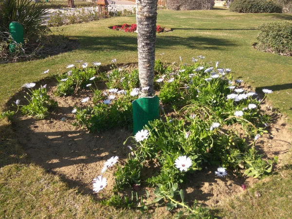 Movenpick Resort El Sohna