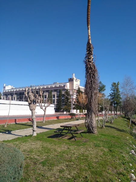 Кристалл