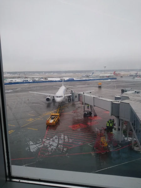 В Домодедово