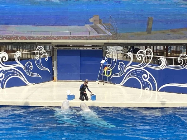 Land of Legends aquapark 