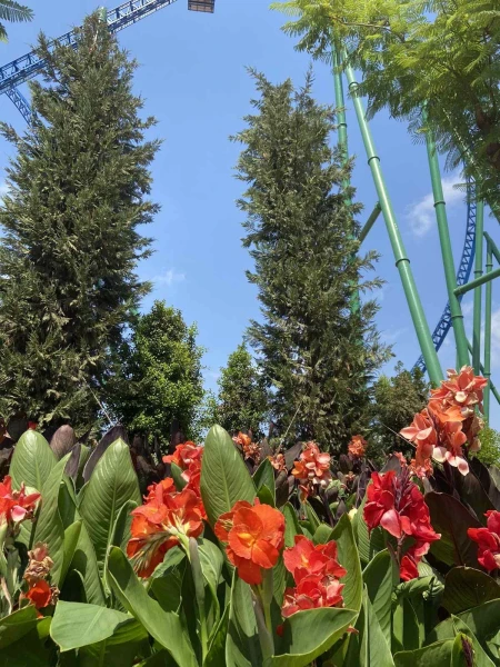 Land of Legends aquapark 