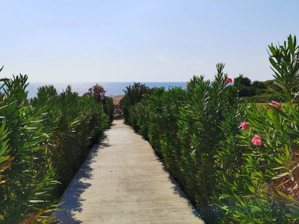 Аллейка от отеля и beach-бара  до пляжа 