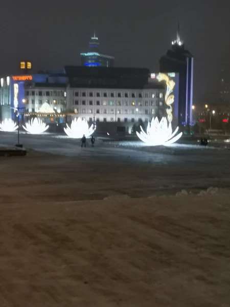 "Лотосы" на Театральной площади