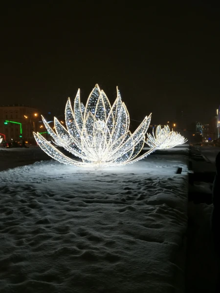 "Лотос" на Театральной площади