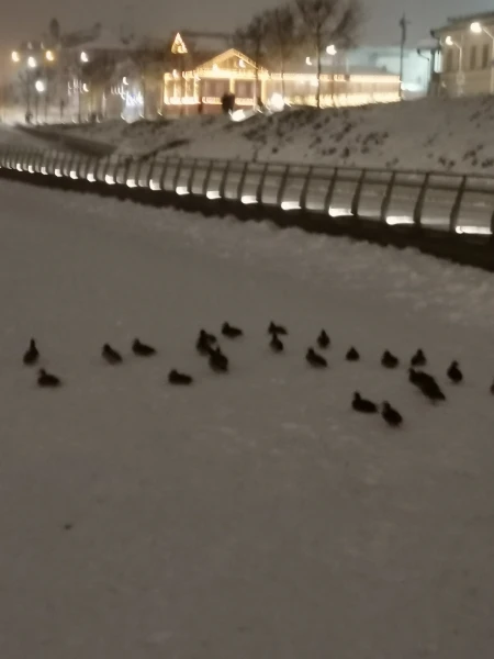 Фрагмент озера Кабан