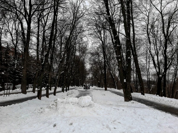 "Золотая Аллея"