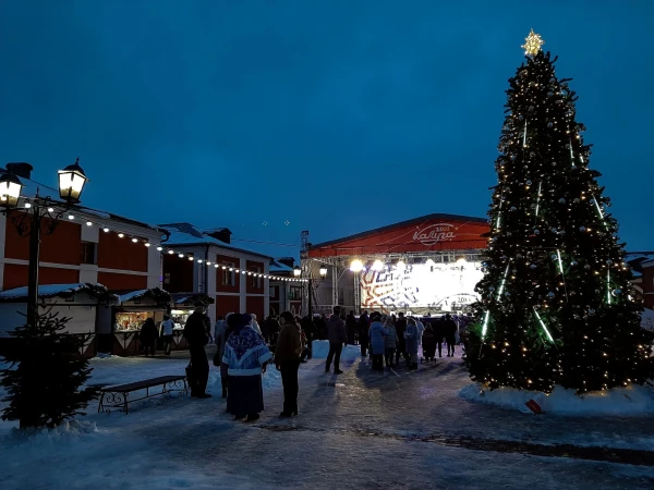 В Гостинном дворе