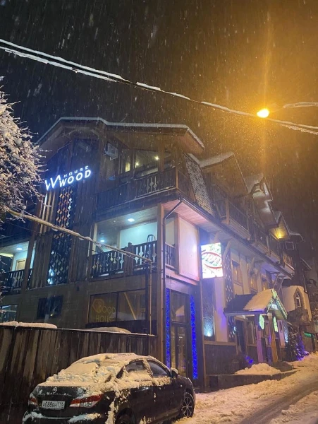 Гостевой дом Wood House