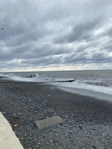 В Адлере уже весна