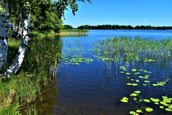 Кижские красоты