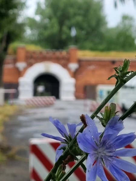 Балтийск