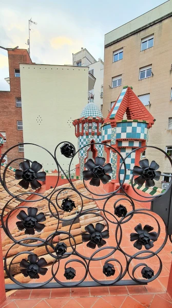 Крыша казы Висенс