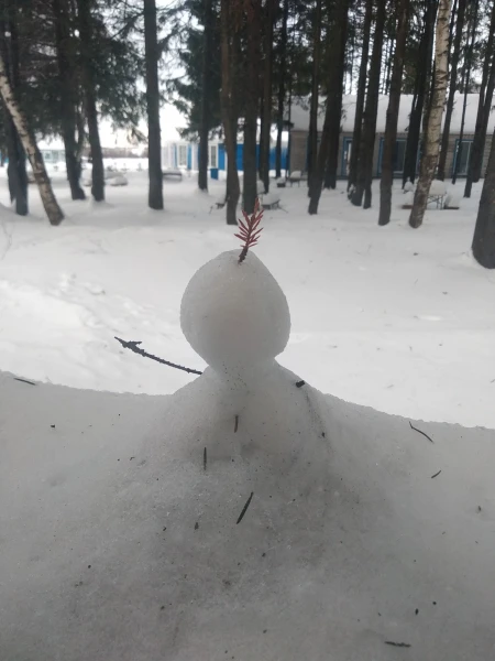 вид из окна