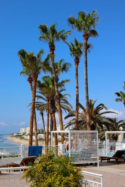 Тунис. Хаммамет. Hotel Bel Azur Thalasso &amp; Bungalows 4*.
