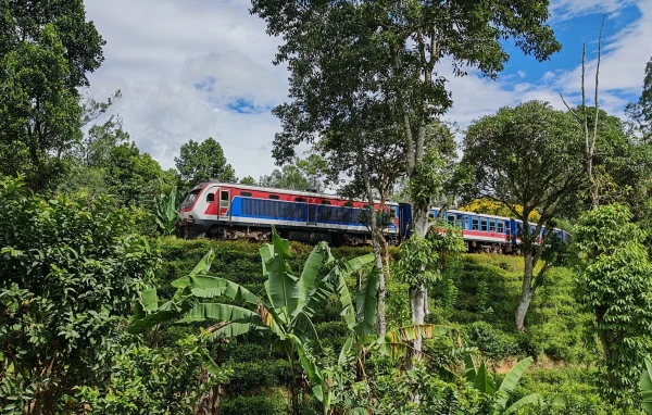 Train View Chalet. Вот обещанная в названии железная дорога прямо из окна номера