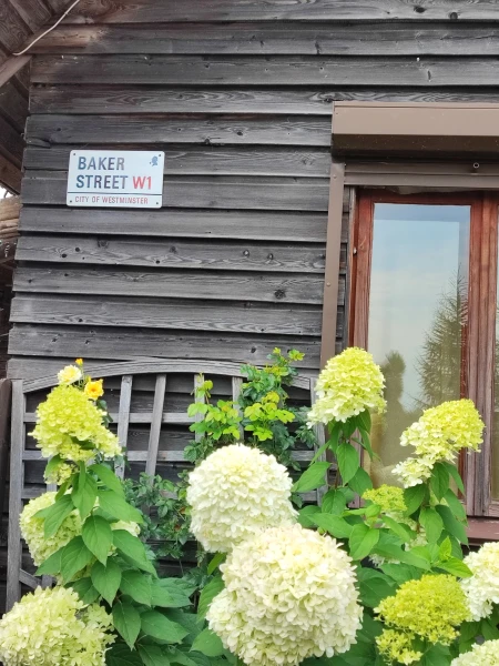 деревенские жилые дома