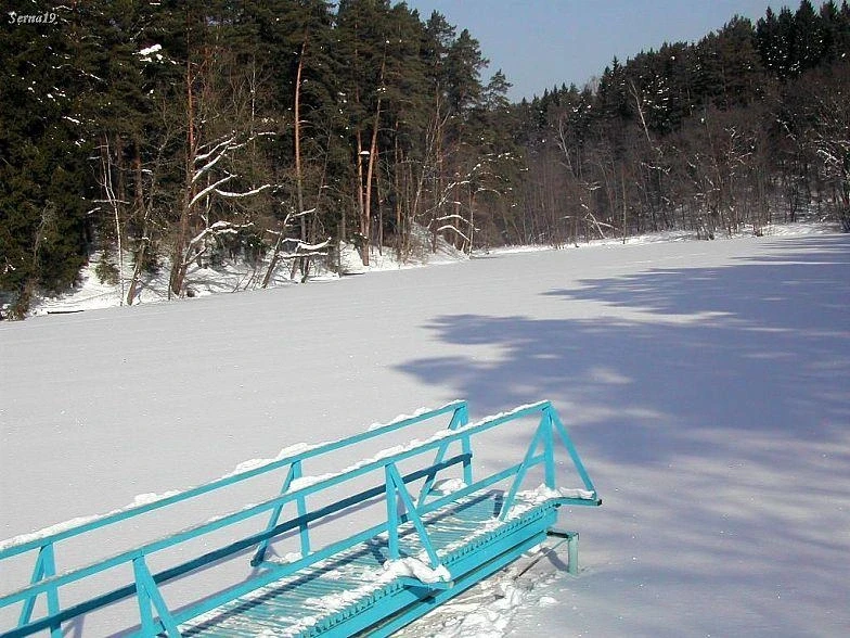 Пруд