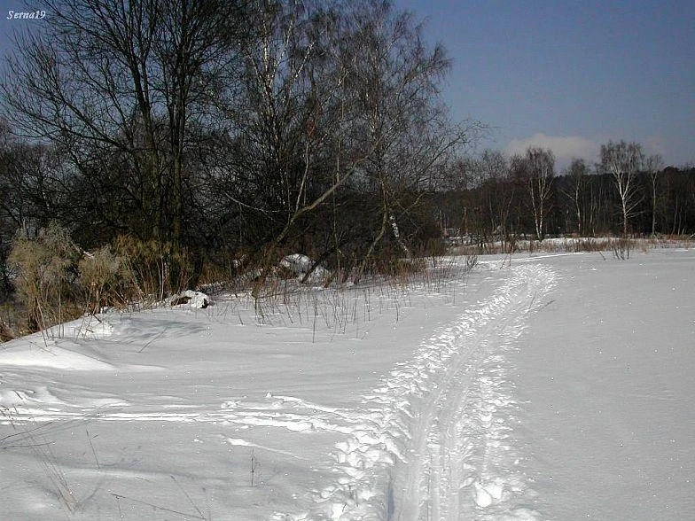Лыжня