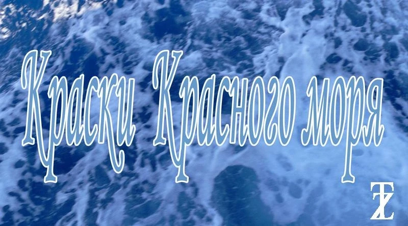  Египет. Краски Красного моря.