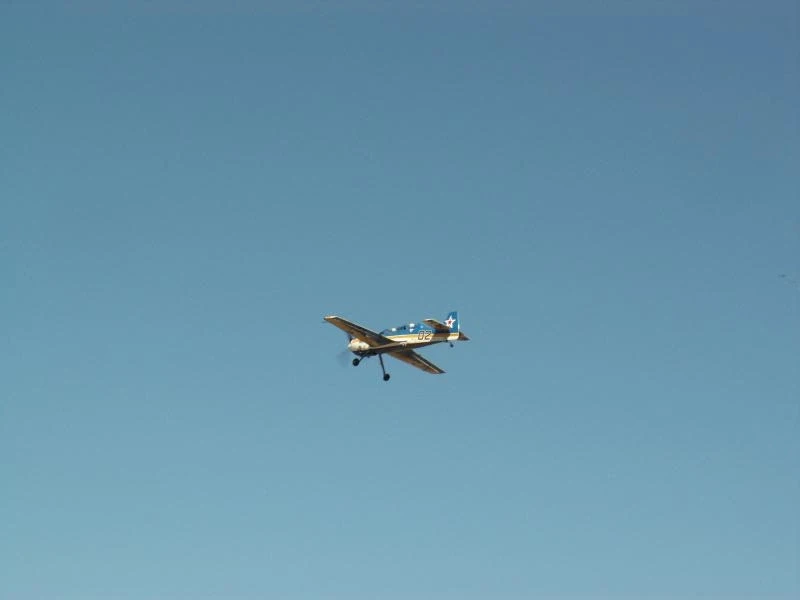 Су-29 ( в полете)