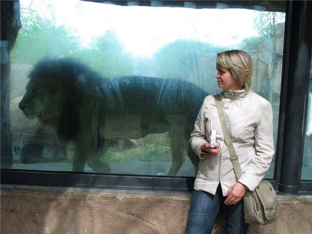 Чикаго зоо