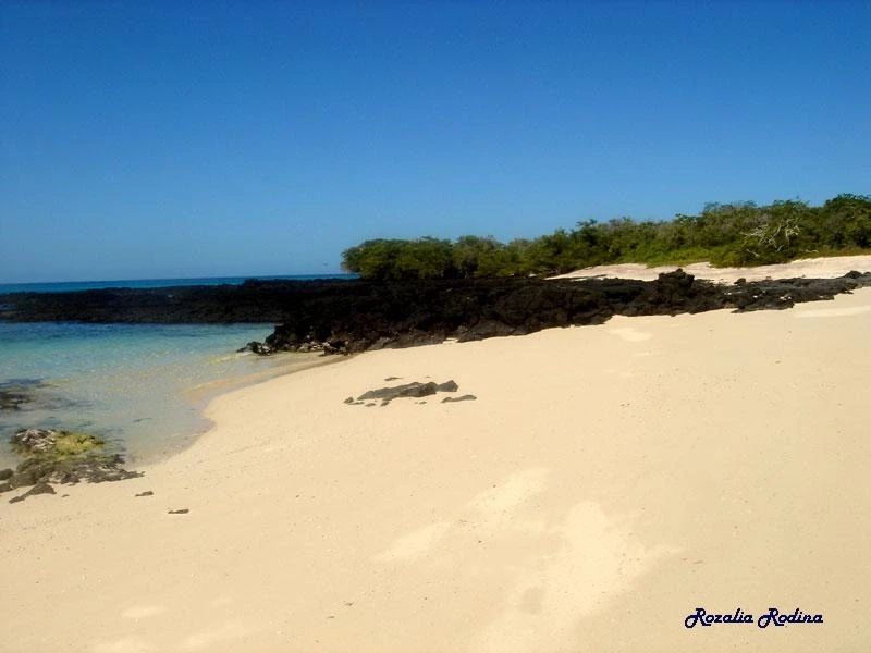 Знаменитый пляж Tortuga Bay