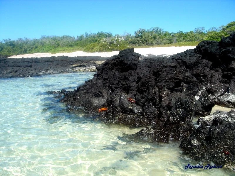 Каменное побережье Tortuga Bay