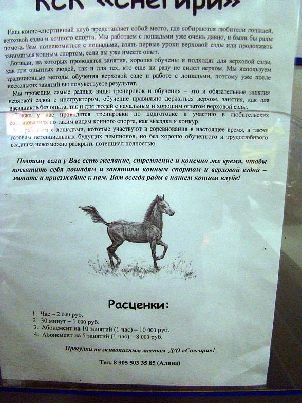 Для тех, кто интересуется верховой ездой.