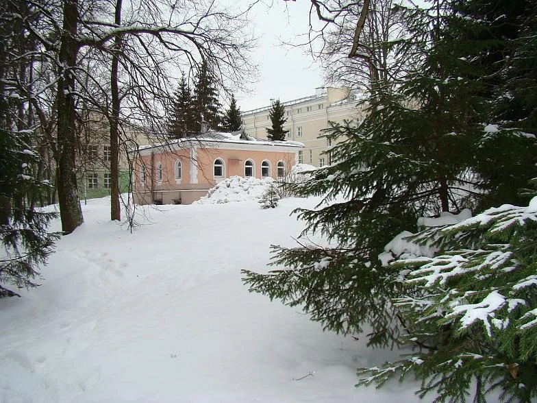 Фотография №92