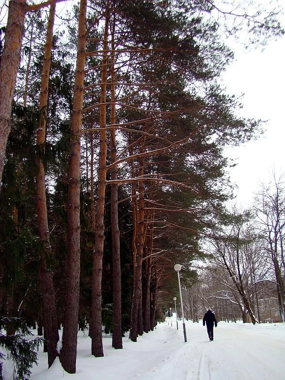 Утро седое