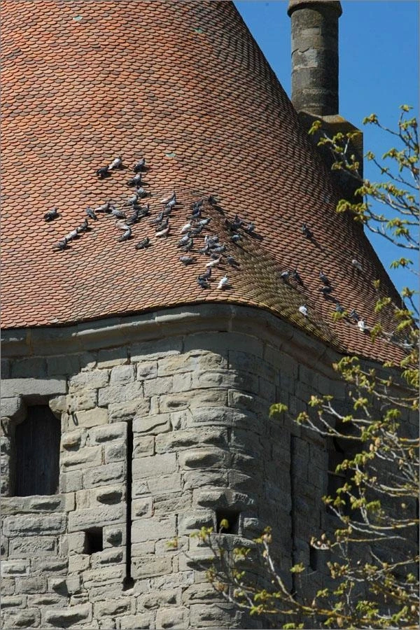 Парковка