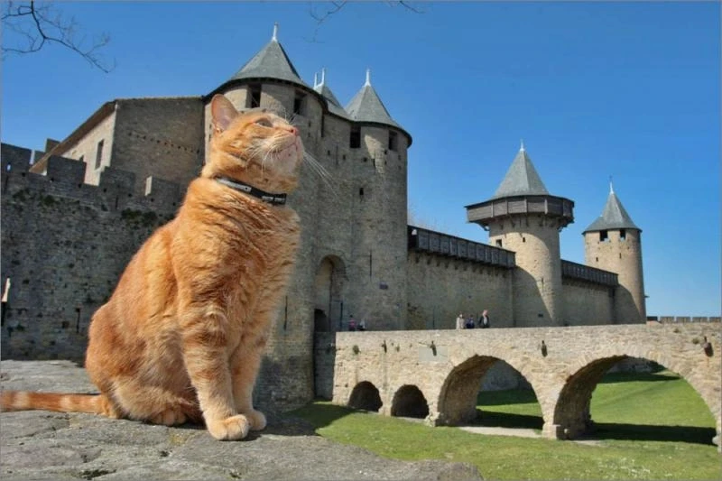 Хранитель старины