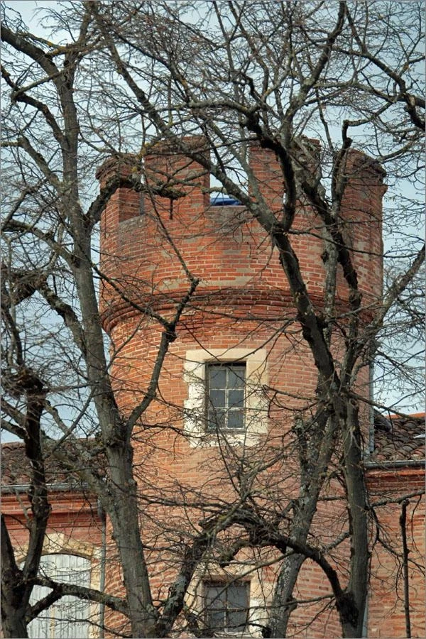 Albi