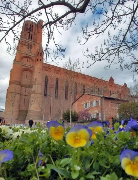 La cathédrale Sainte-Cécile