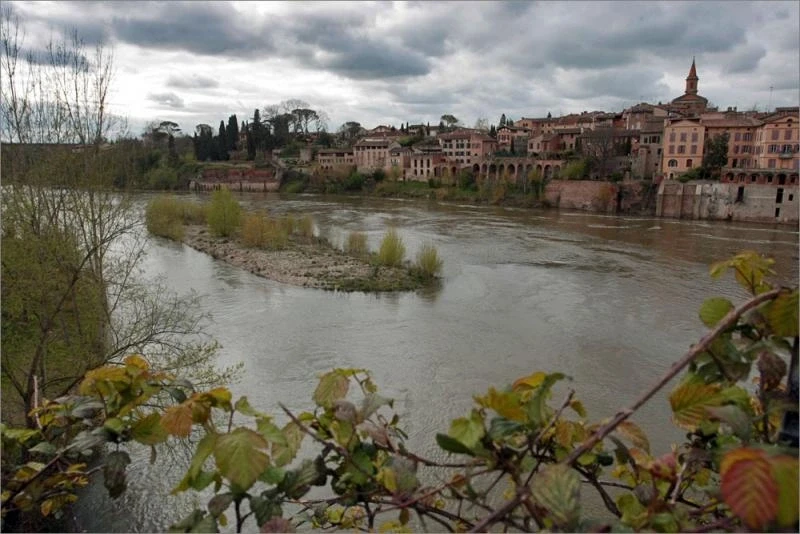 Albi