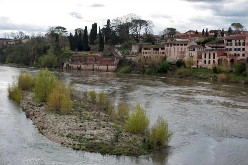 Albi