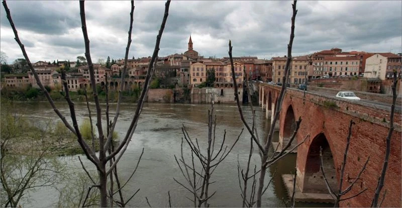 Albi