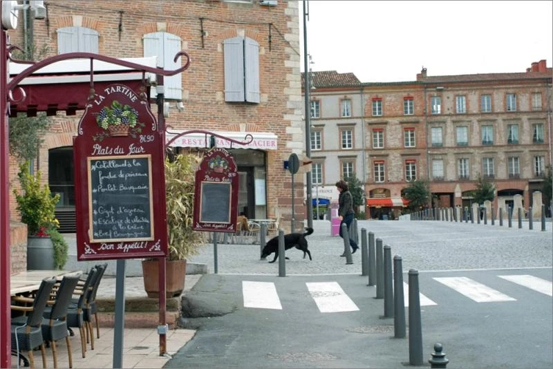 Albi