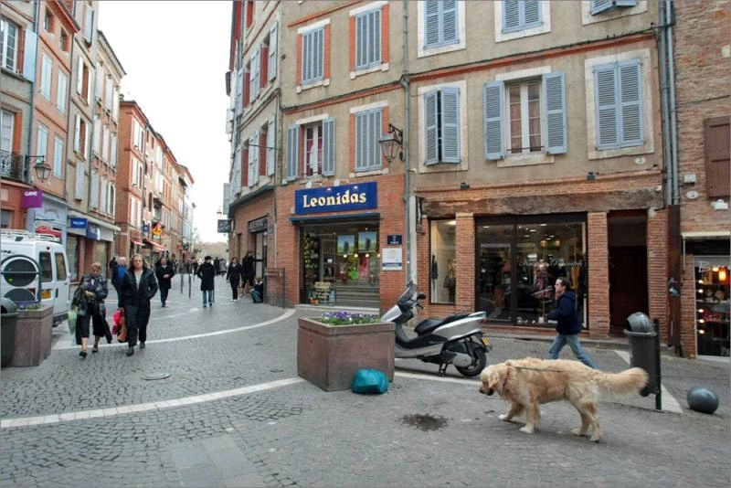 Albi